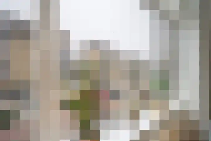 Bruijnings Ingenhoeslaan 81 Voorburg thumbnail 7