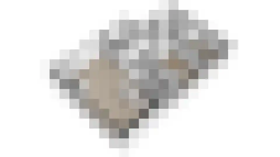 Bruijnings Ingenhoeslaan 81 Voorburg thumbnail 8