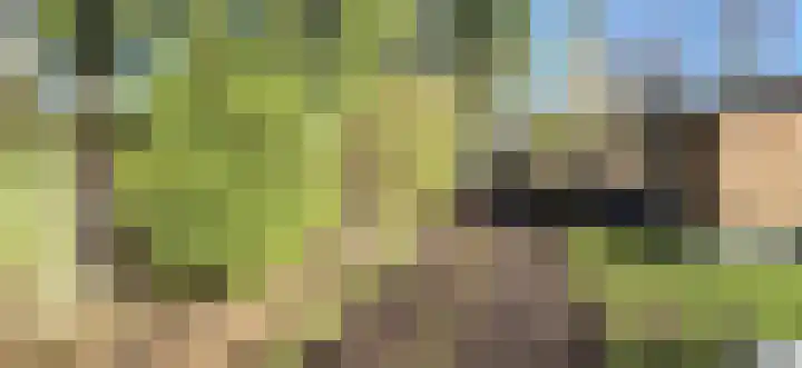 Bruilweering 214 Groningen thumbnail 4