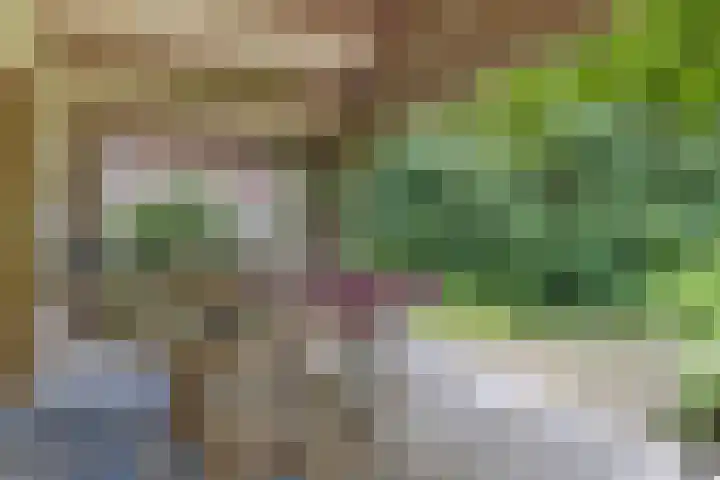 Bruilweering 406 Groningen thumbnail 10