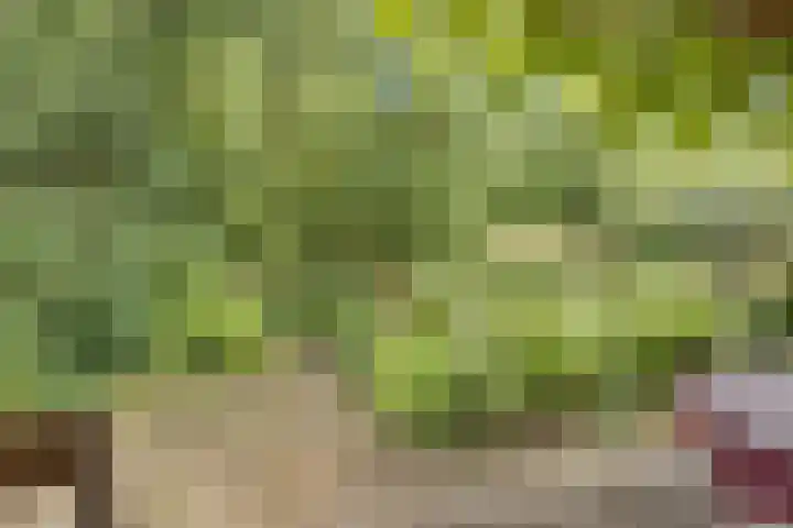 Bruilweering 406 Groningen thumbnail 11