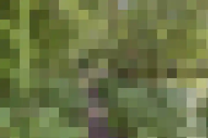 Bruilweering 406 Groningen thumbnail 12