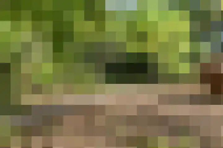 Bruilweering 406 Groningen thumbnail 13