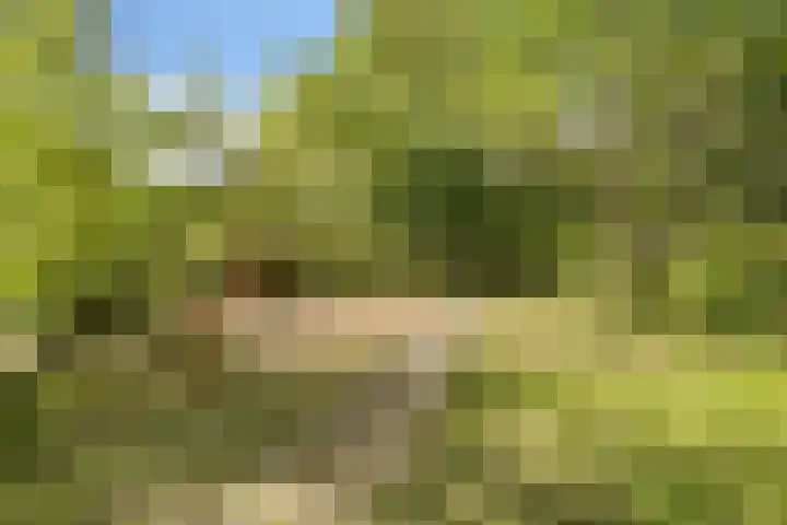 Bruilweering 406 Groningen thumbnail 14
