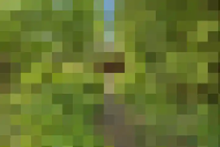 Bruilweering 406 Groningen thumbnail 15