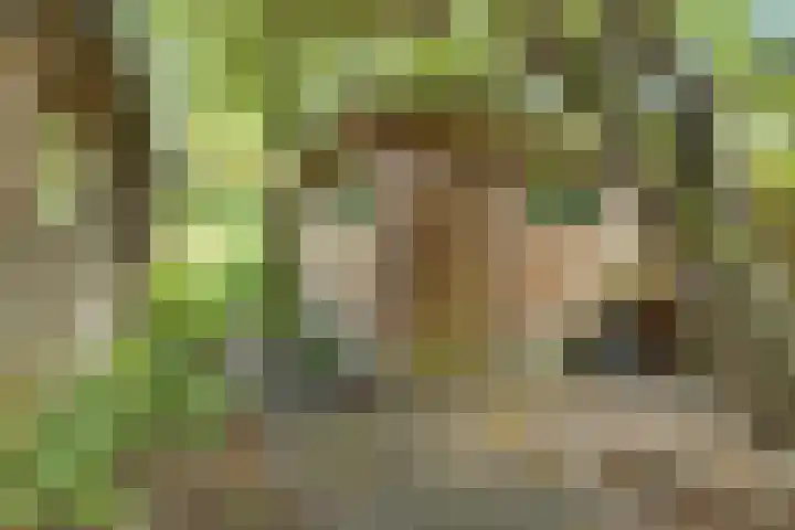 Bruilweering 406 Groningen thumbnail 16