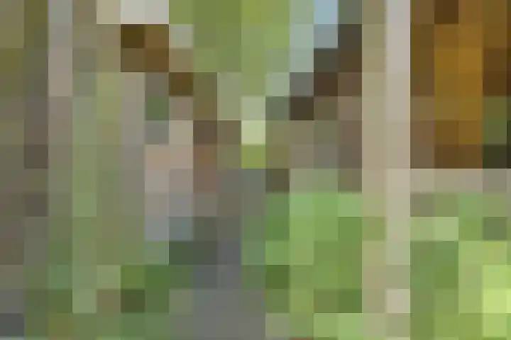 Bruilweering 406 Groningen thumbnail 17
