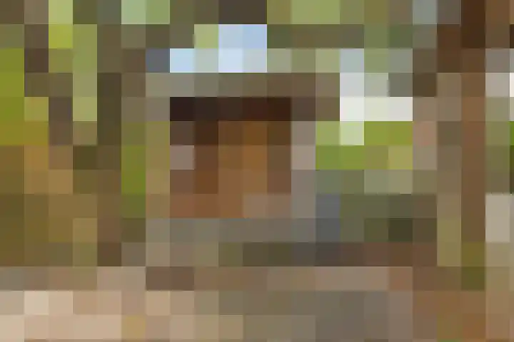 Bruilweering 406 Groningen thumbnail 18