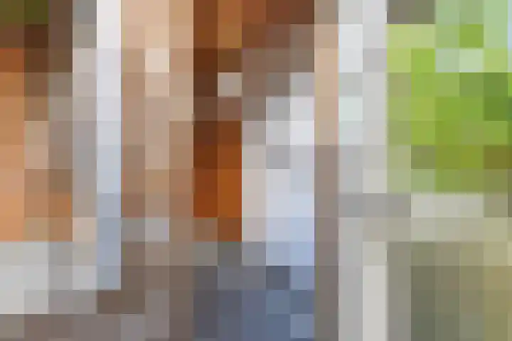 Bruilweering 406 Groningen thumbnail 20