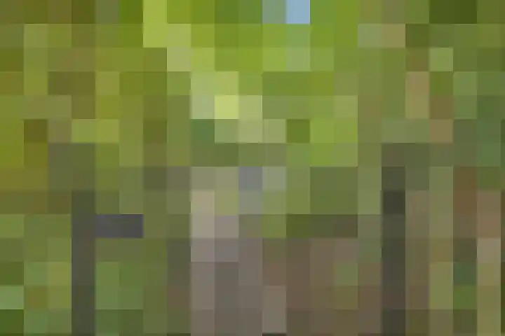 Bruilweering 406 Groningen thumbnail 26
