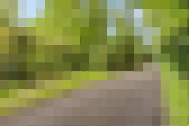 Bruilweering 406 Groningen thumbnail 27