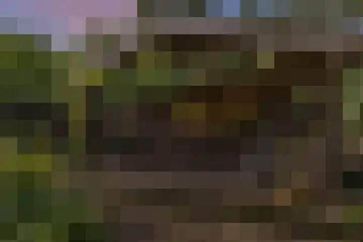 Bruilweering 406 Groningen thumbnail 29