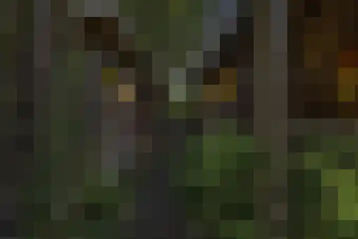 Bruilweering 406 Groningen thumbnail 30