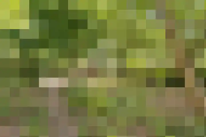 Bruilweering 406 Groningen thumbnail 4