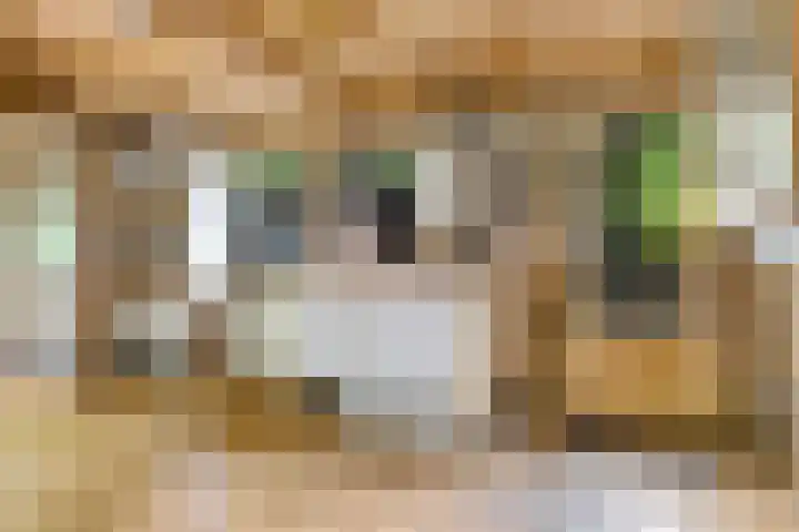 Bruilweering 406 Groningen thumbnail 7