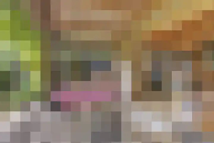 Bruilweering 406 Groningen thumbnail 9