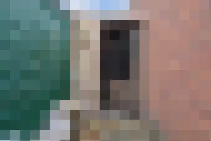 Bruinbankstraat 37 Den Haag thumbnail 32