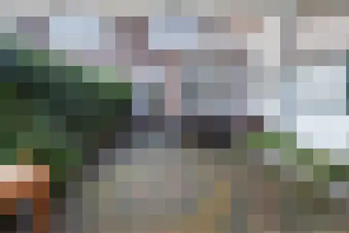 Bruinbankstraat 9 Den Haag thumbnail 17