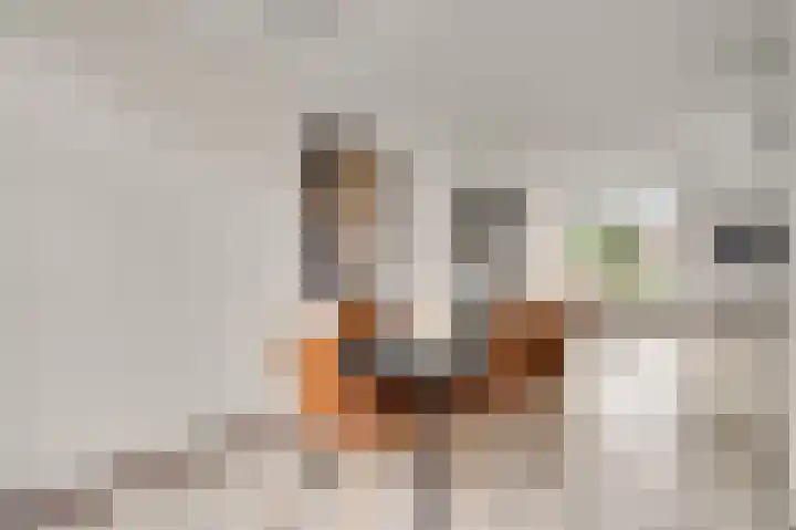 Bruine Akkers 125 Maarheeze thumbnail 17
