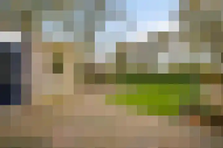 Bruine Akkers 125 Maarheeze thumbnail 28
