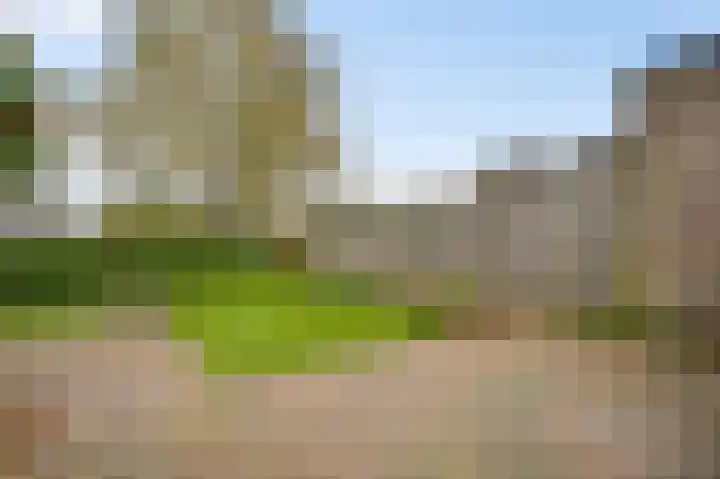 Bruine Akkers 125 Maarheeze thumbnail 29