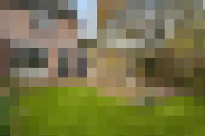Bruine Akkers 125 Maarheeze thumbnail 30