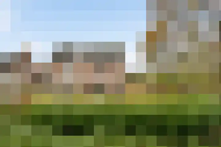 Bruine Akkers 125 Maarheeze thumbnail 32