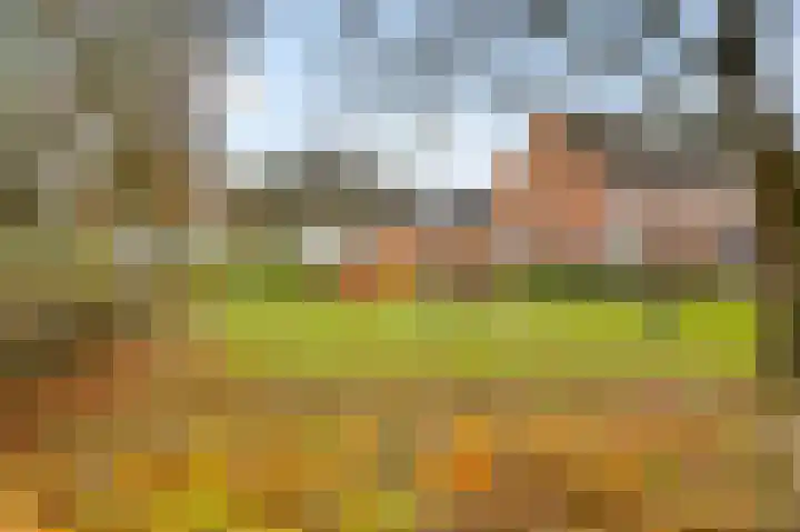 Bruine Akkers 125 Maarheeze thumbnail 34