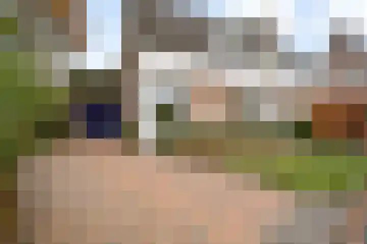 Bruine Akkers 125 Maarheeze thumbnail 7