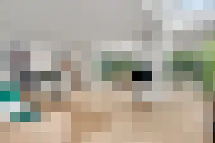 Bruine Akkers 141 Maarheeze thumbnail 11