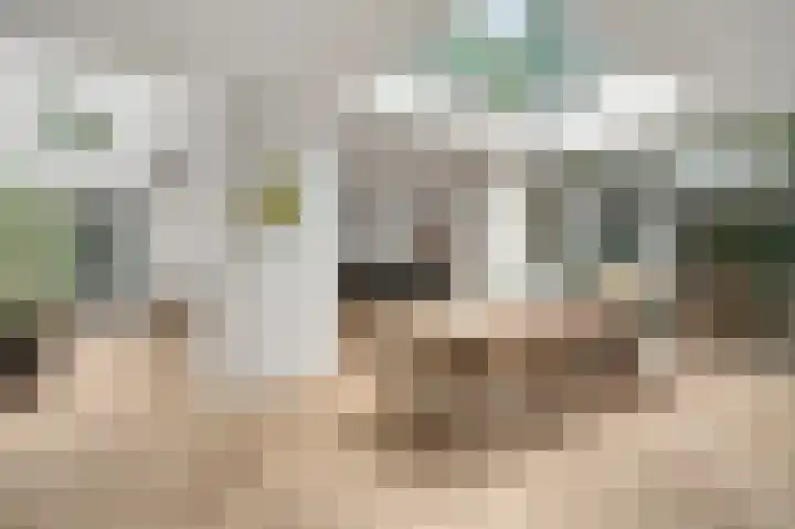 Bruine Akkers 141 Maarheeze thumbnail 14
