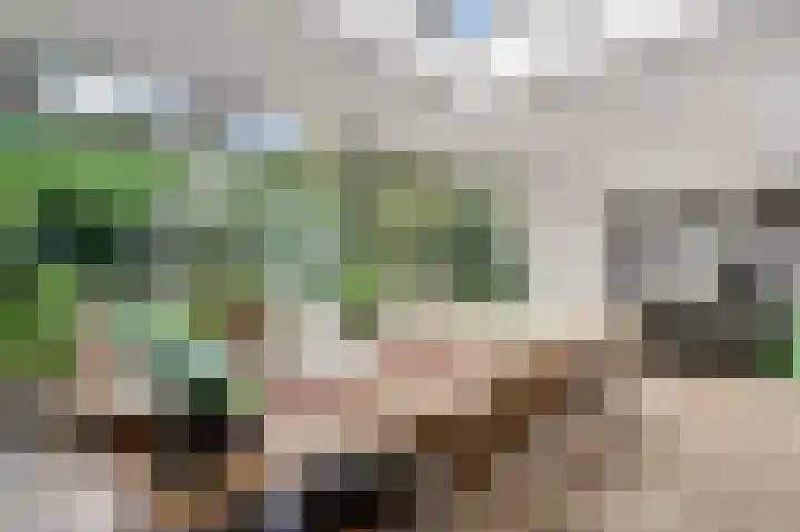Bruine Akkers 141 Maarheeze thumbnail 15