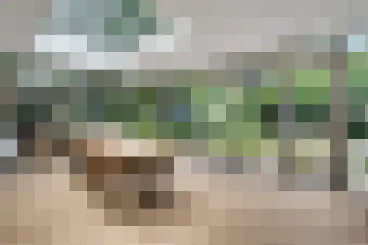Bruine Akkers 141 Maarheeze thumbnail 16