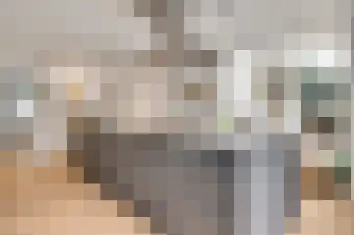 Bruine Akkers 141 Maarheeze thumbnail 18
