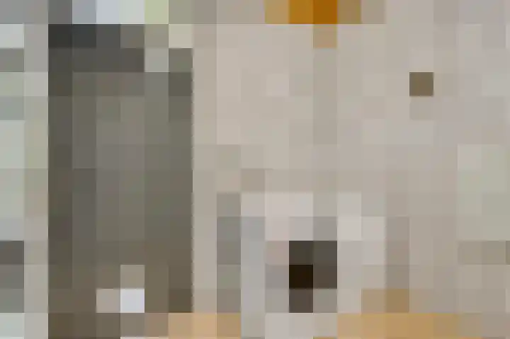 Bruine Akkers 141 Maarheeze thumbnail 21