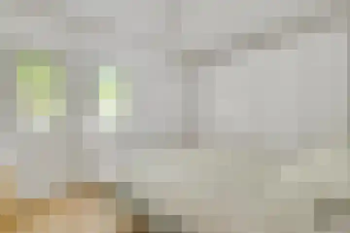 Bruine Akkers 141 Maarheeze thumbnail 22