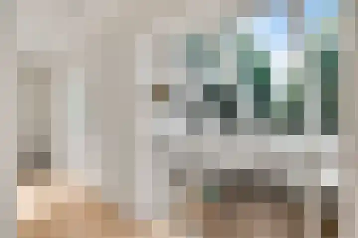 Bruine Akkers 141 Maarheeze thumbnail 26