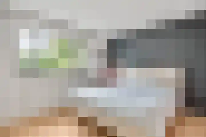 Bruine Akkers 141 Maarheeze thumbnail 28