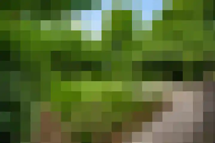 Bruine Akkers 141 Maarheeze thumbnail 32