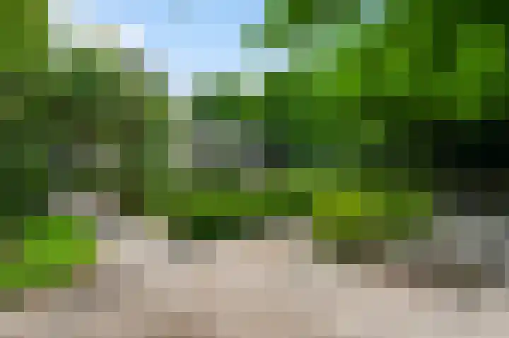 Bruine Akkers 141 Maarheeze thumbnail 33