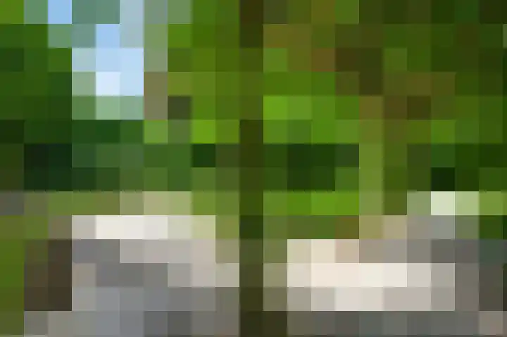 Bruine Akkers 141 Maarheeze thumbnail 34