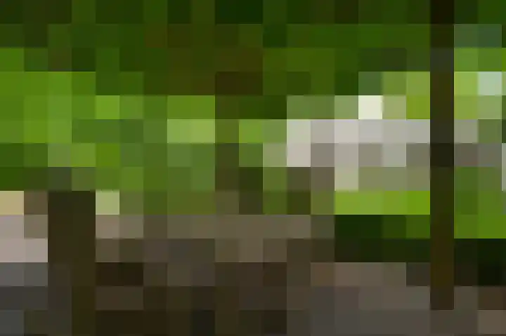 Bruine Akkers 141 Maarheeze thumbnail 35