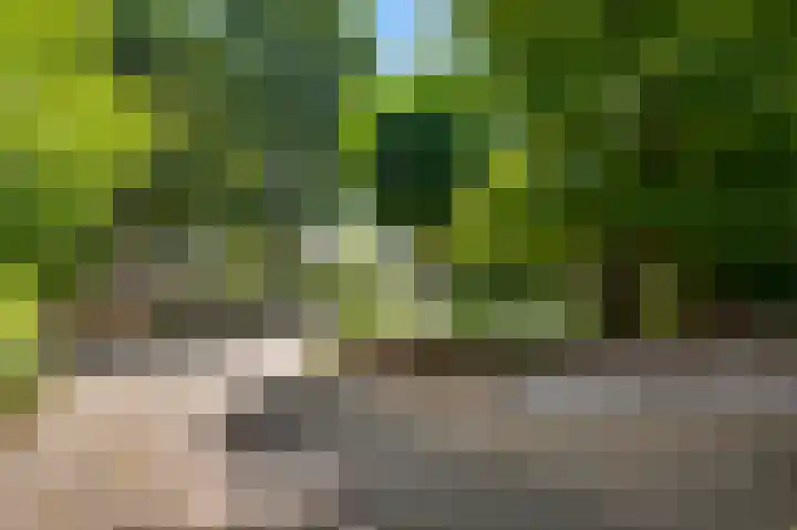 Bruine Akkers 141 Maarheeze thumbnail 37