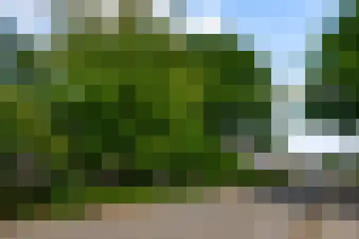 Bruine Akkers 141 Maarheeze thumbnail 38