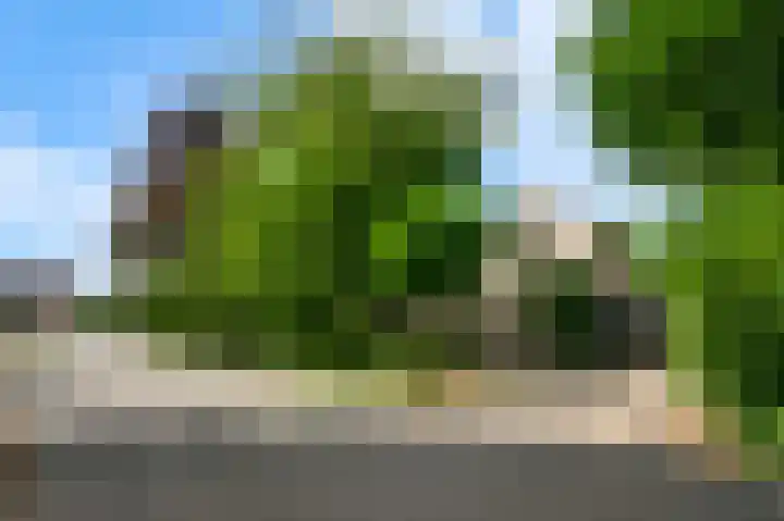 Bruine Akkers 141 Maarheeze thumbnail 39