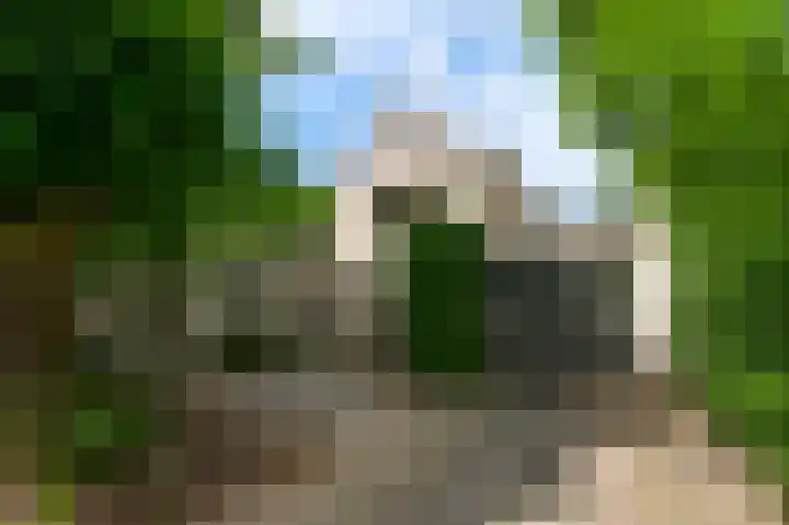 Bruine Akkers 141 Maarheeze thumbnail 43