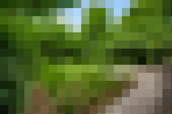 Bruine Akkers 141 Maarheeze thumbnail 6
