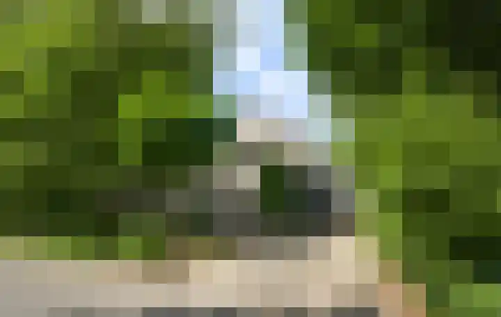 Bruine Akkers 141 Maarheeze thumbnail 7