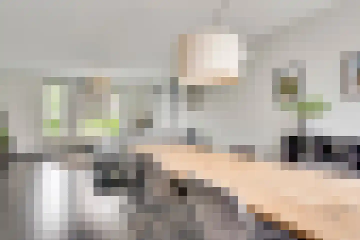 Bruine Akkers 155 Maarheeze thumbnail 17