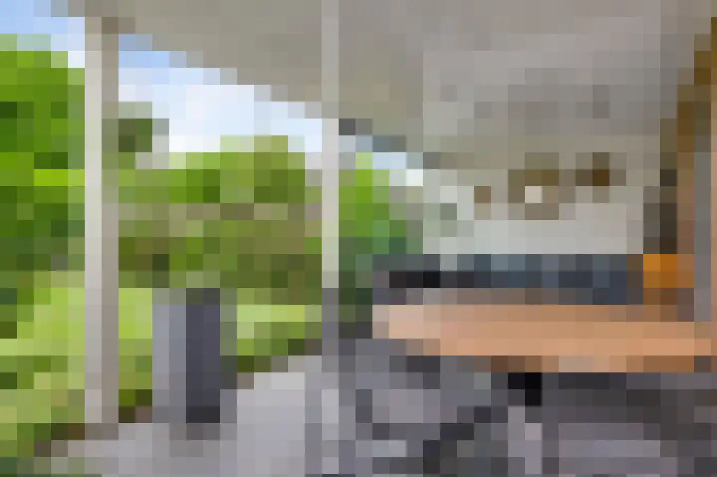 Bruine Akkers 155 Maarheeze thumbnail 34
